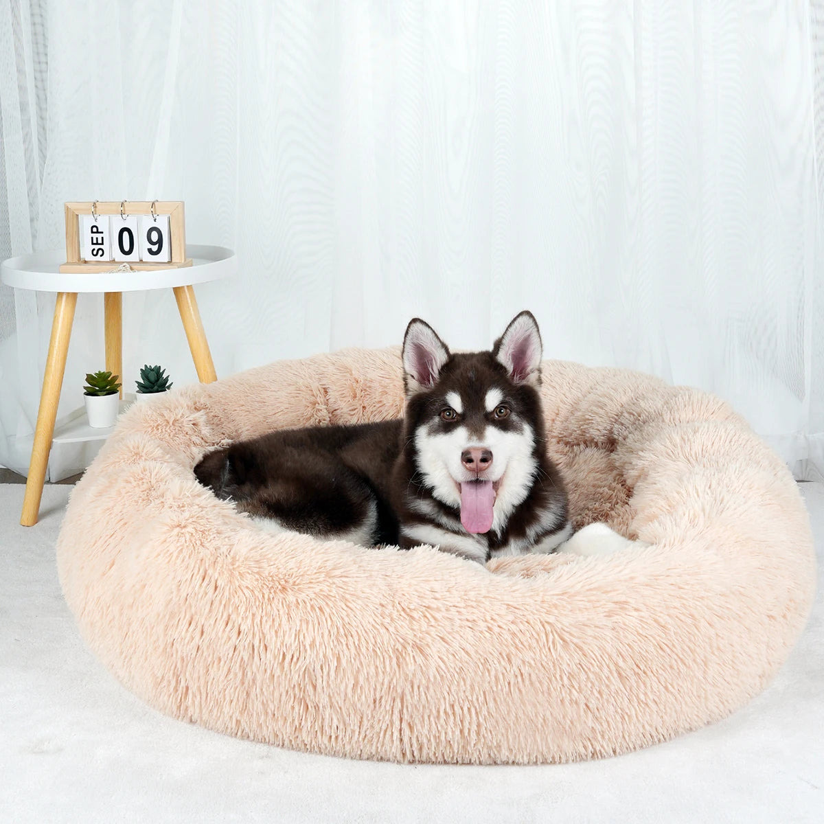 Luxurious Calming Plush Dog Bed (Washable) | Anti-Anxiety Fluffy Pet Bed For Large, Medium & Small Dogs/Puppies
