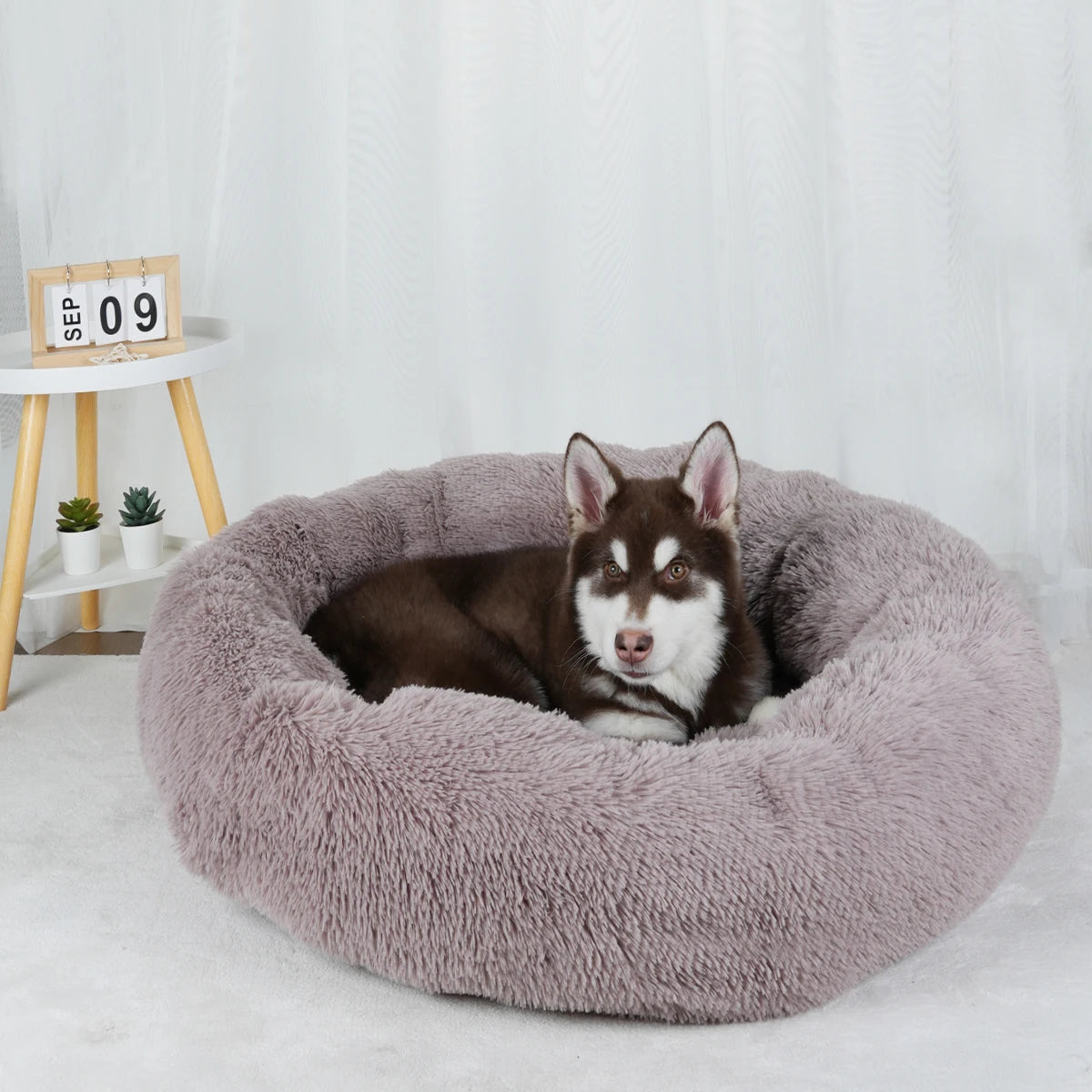 Luxurious Calming Plush Dog Bed (Washable) | Anti-Anxiety Fluffy Pet Bed For Large, Medium & Small Dogs/Puppies