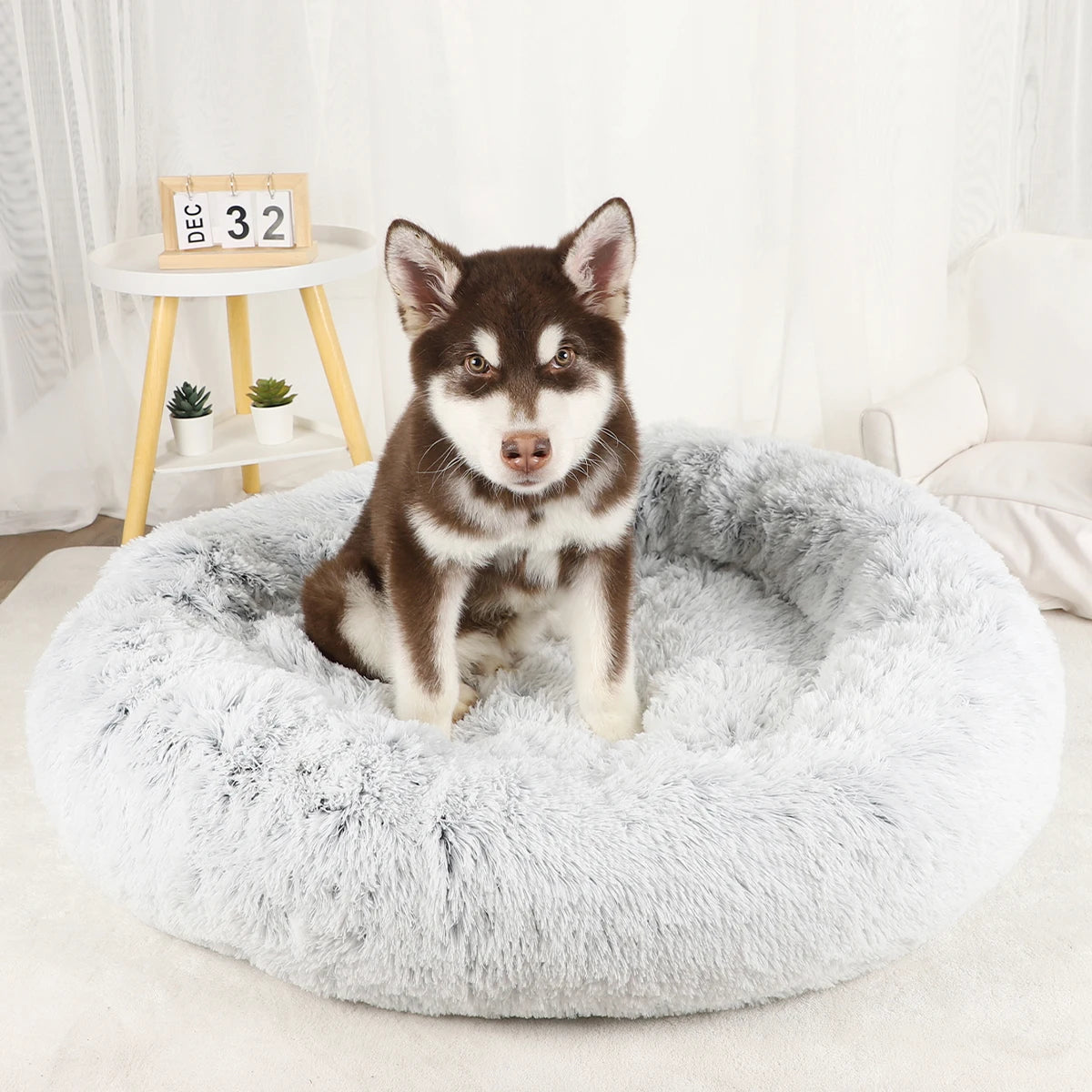 Luxurious Calming Plush Dog Bed (Washable) | Anti-Anxiety Fluffy Pet Bed For Large, Medium & Small Dogs/Puppies