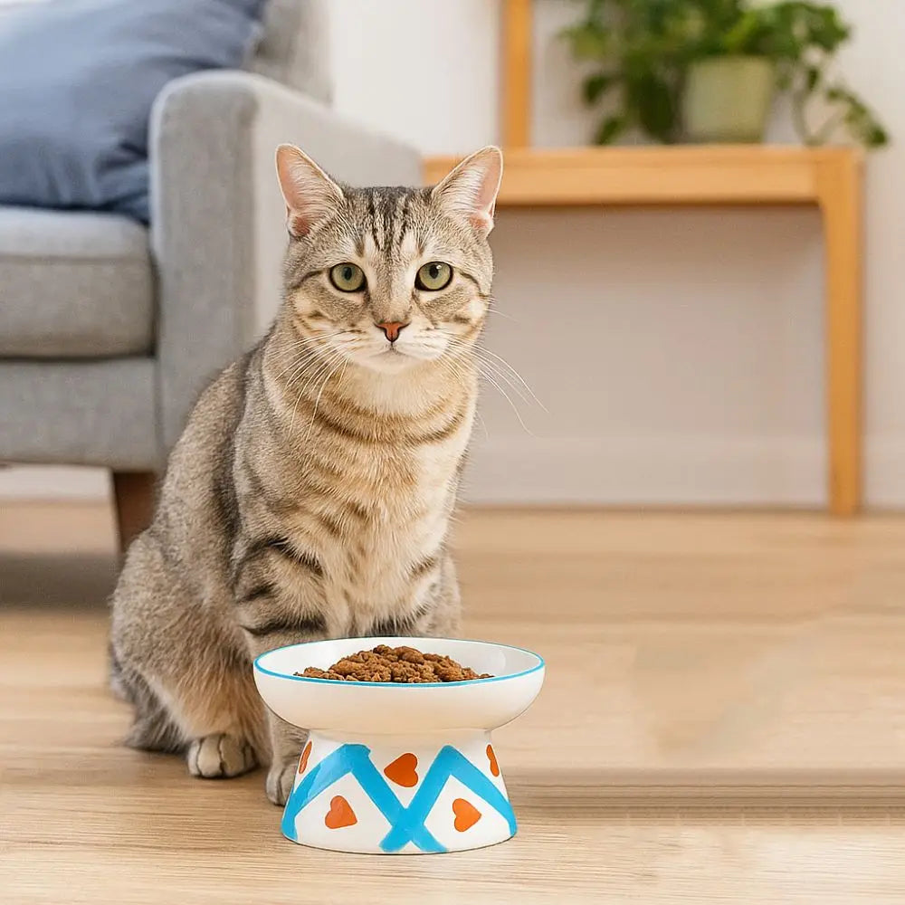 Ceramic Slanted Cat Food Bowl - Anti-Tipping & Cervical Spine Protection