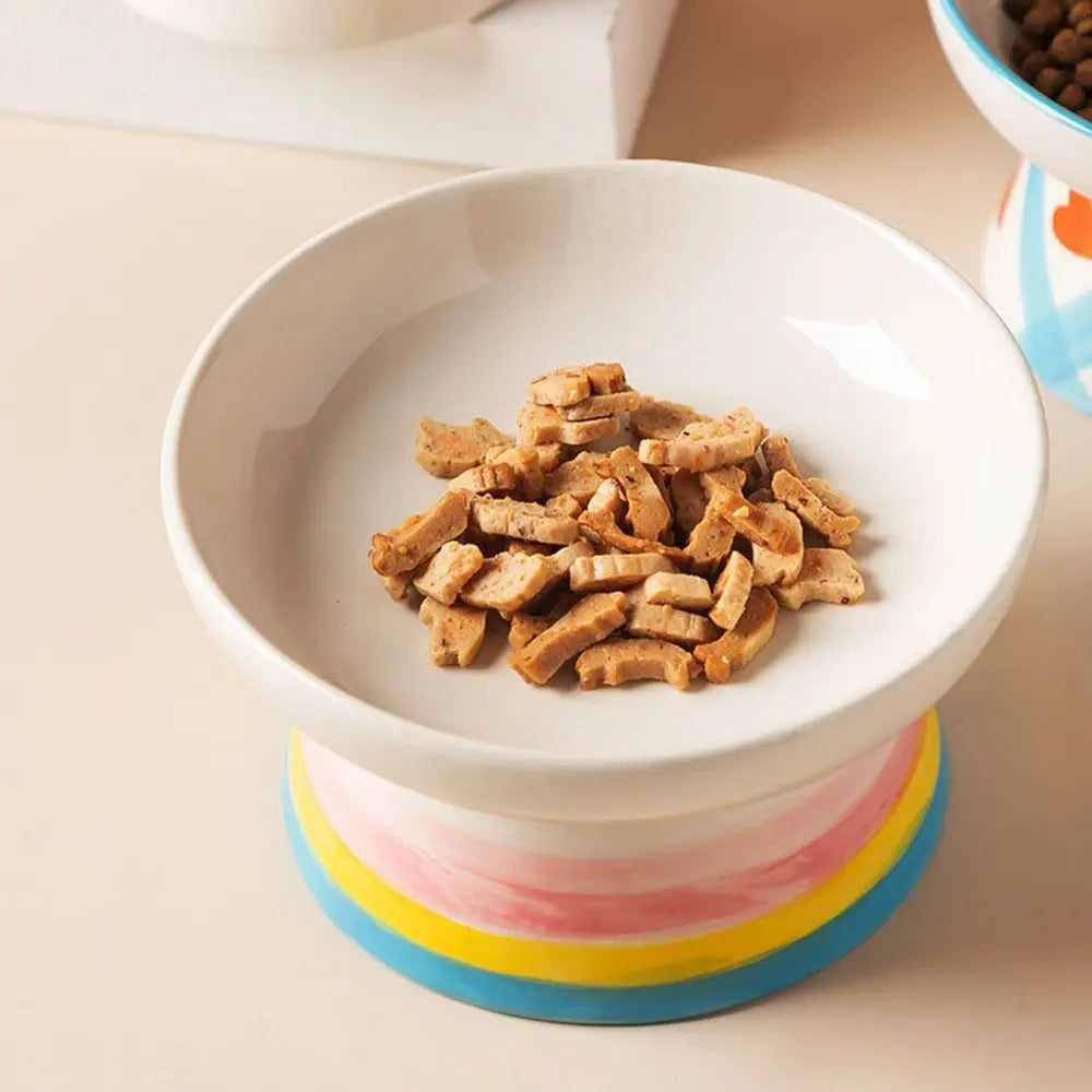 Ceramic Slanted Cat Food Bowl - Anti-Tipping & Cervical Spine Protection