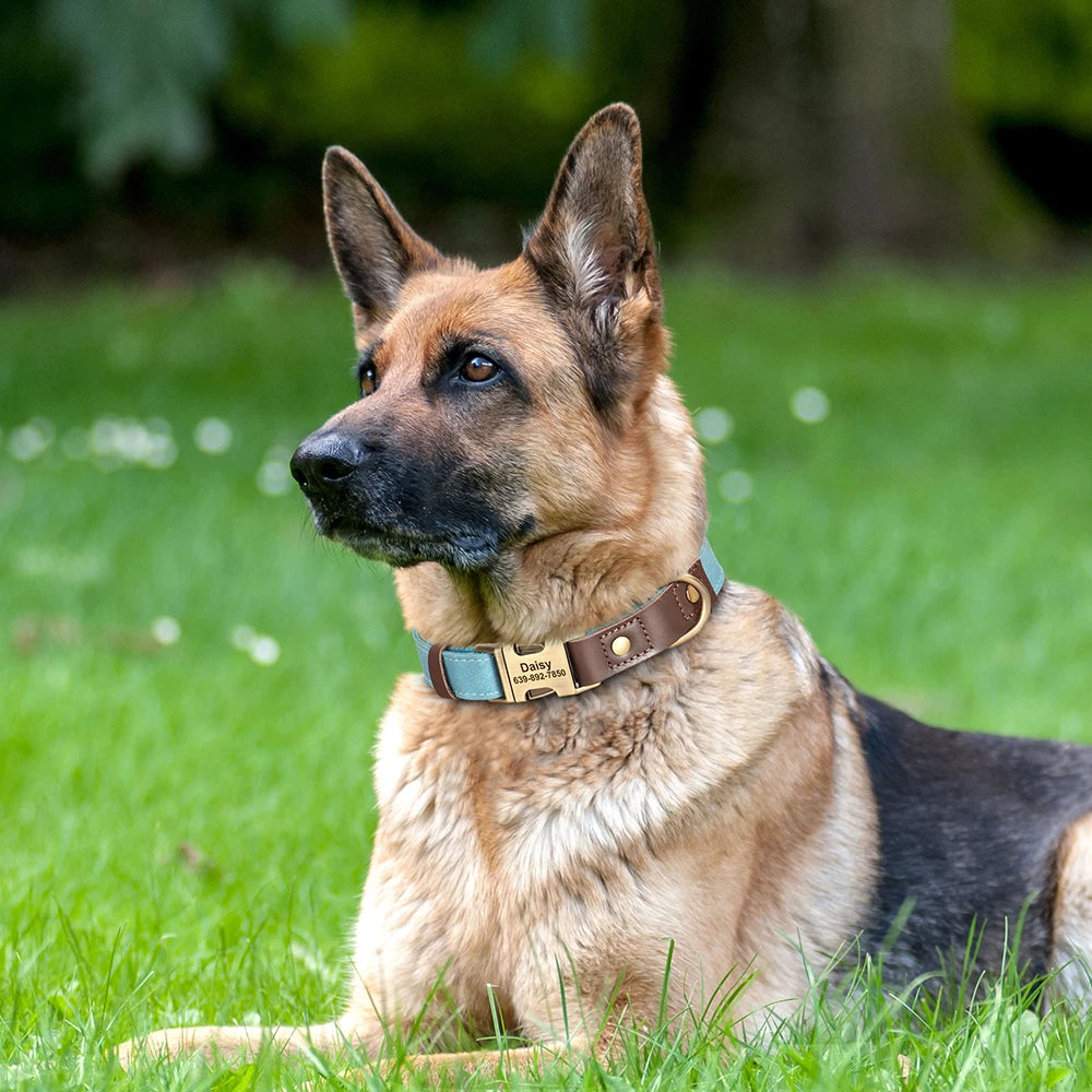 Personalized PU Leather Dog Collar - Engraved ID & Adjustable Buckle