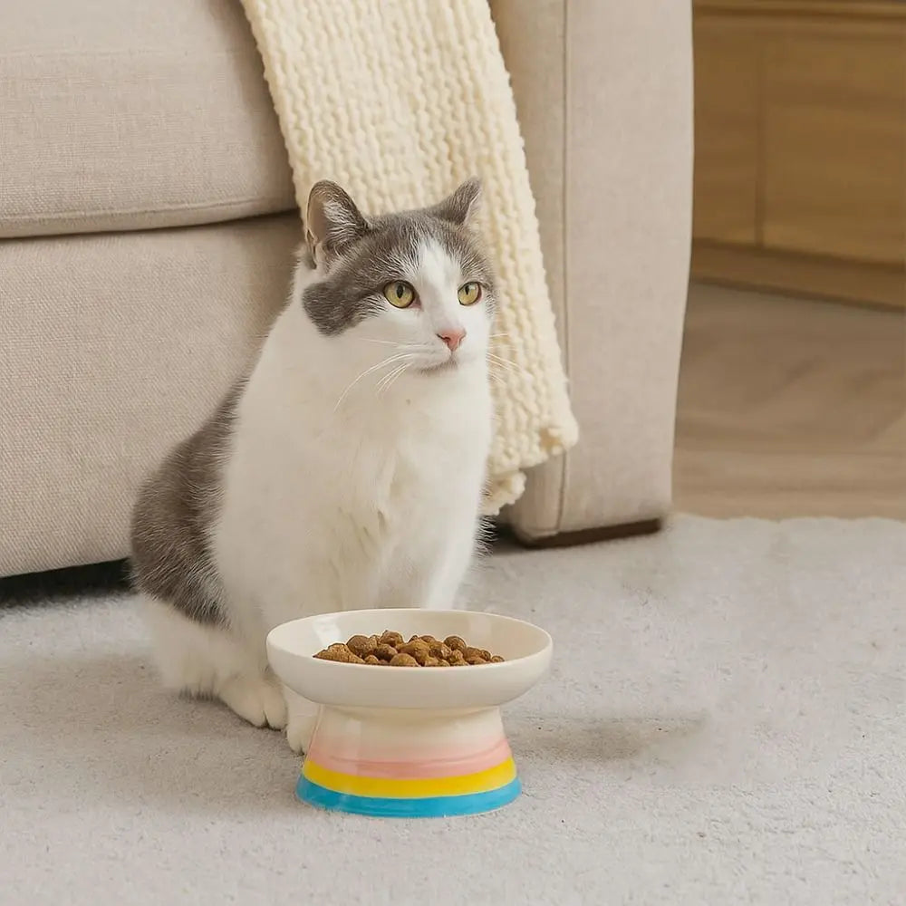 Ceramic Slanted Cat Food Bowl - Anti-Tipping & Cervical Spine Protection
