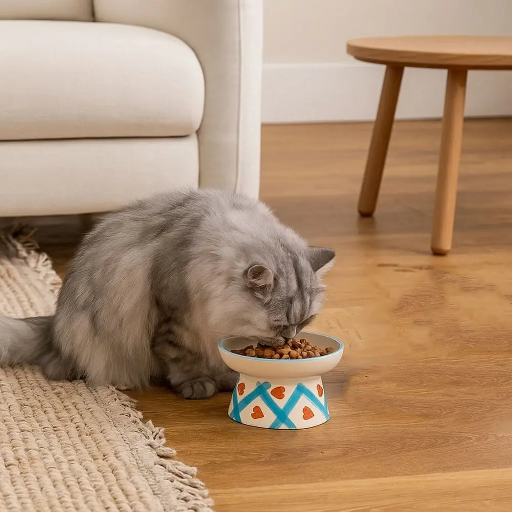 Ceramic Slanted Cat Food Bowl - Anti-Tipping & Cervical Spine Protection