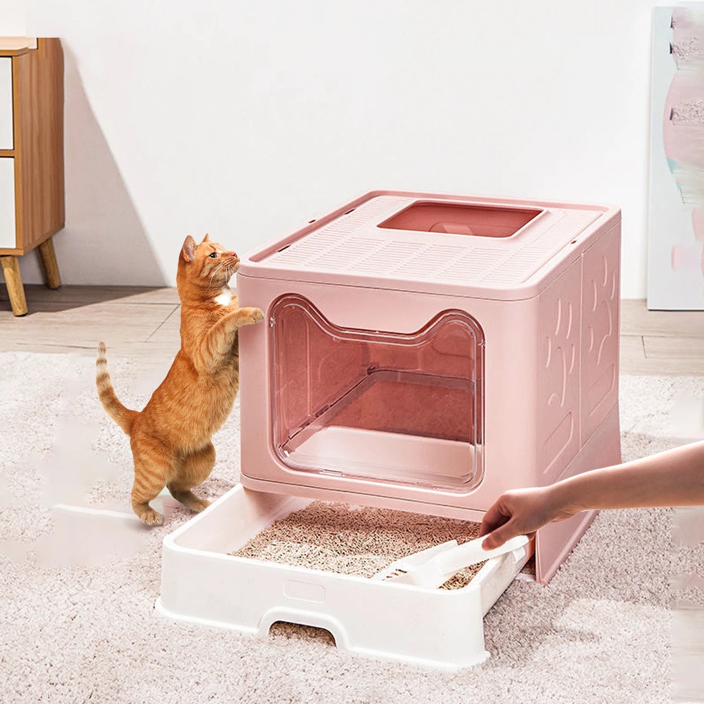 Detachable Cat Litter Box With Top & Front Entry | Foldable, Easy-Clean Cat Potty With Scoop Drawer | For Cats Up To 22 Lbs