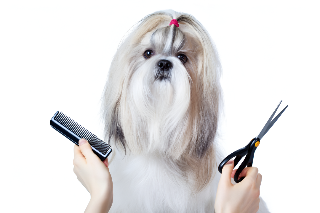 Ultimate Grooming - Fido'S