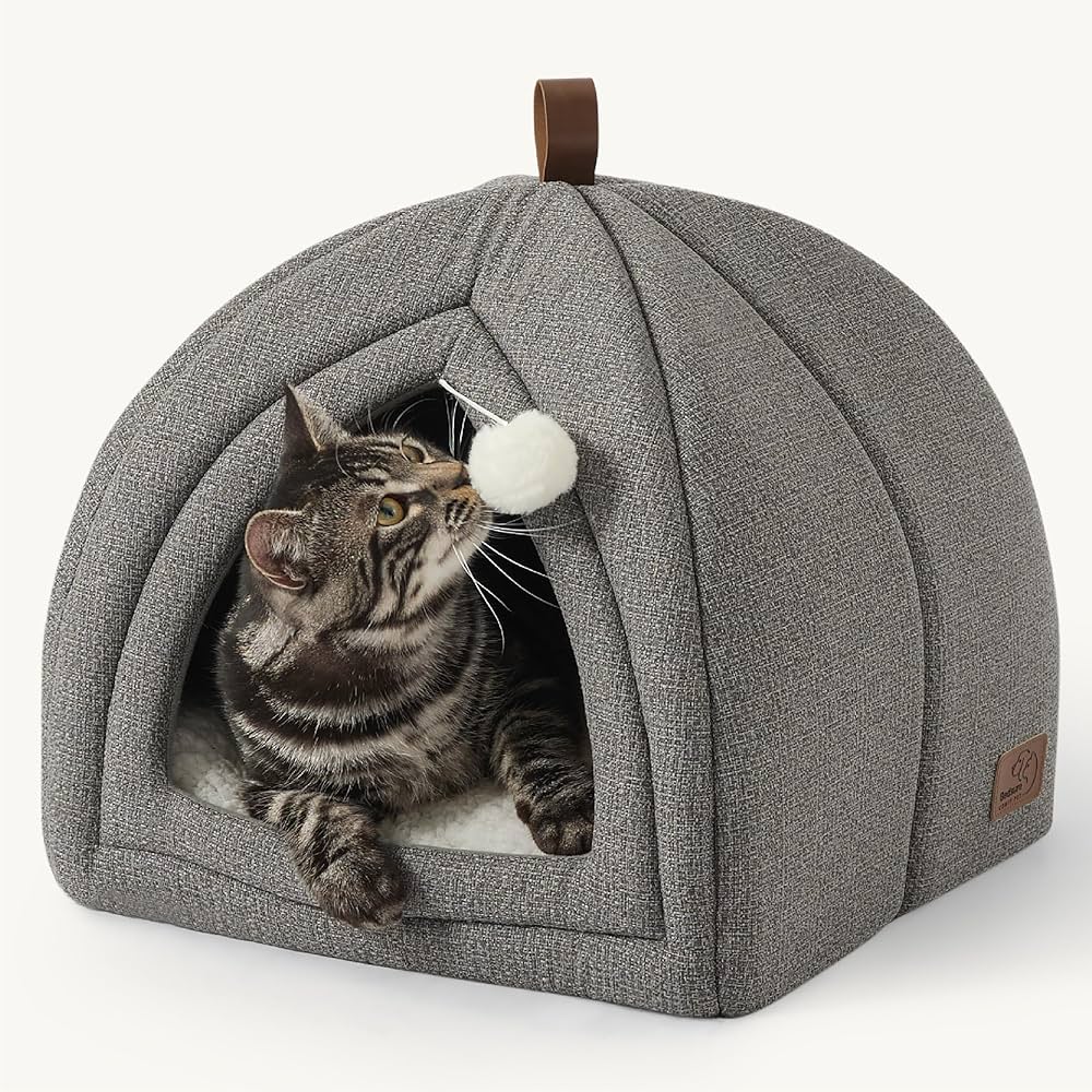 Comfort & Play - Felix'S