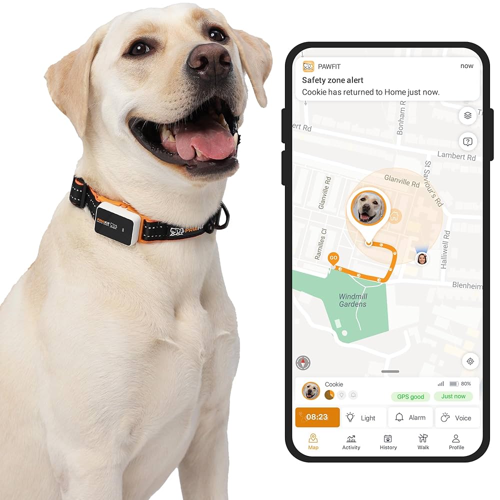 Smart Safety & GPS - Fido'S