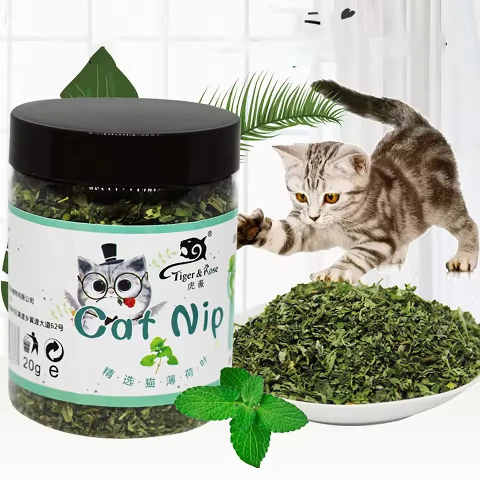 Jar of catnip with a cat interacting with it on a white background