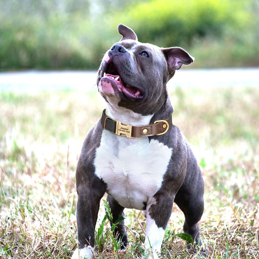 Personalized PU Leather Dog Collar - Engraved ID & Adjustable Buckle
