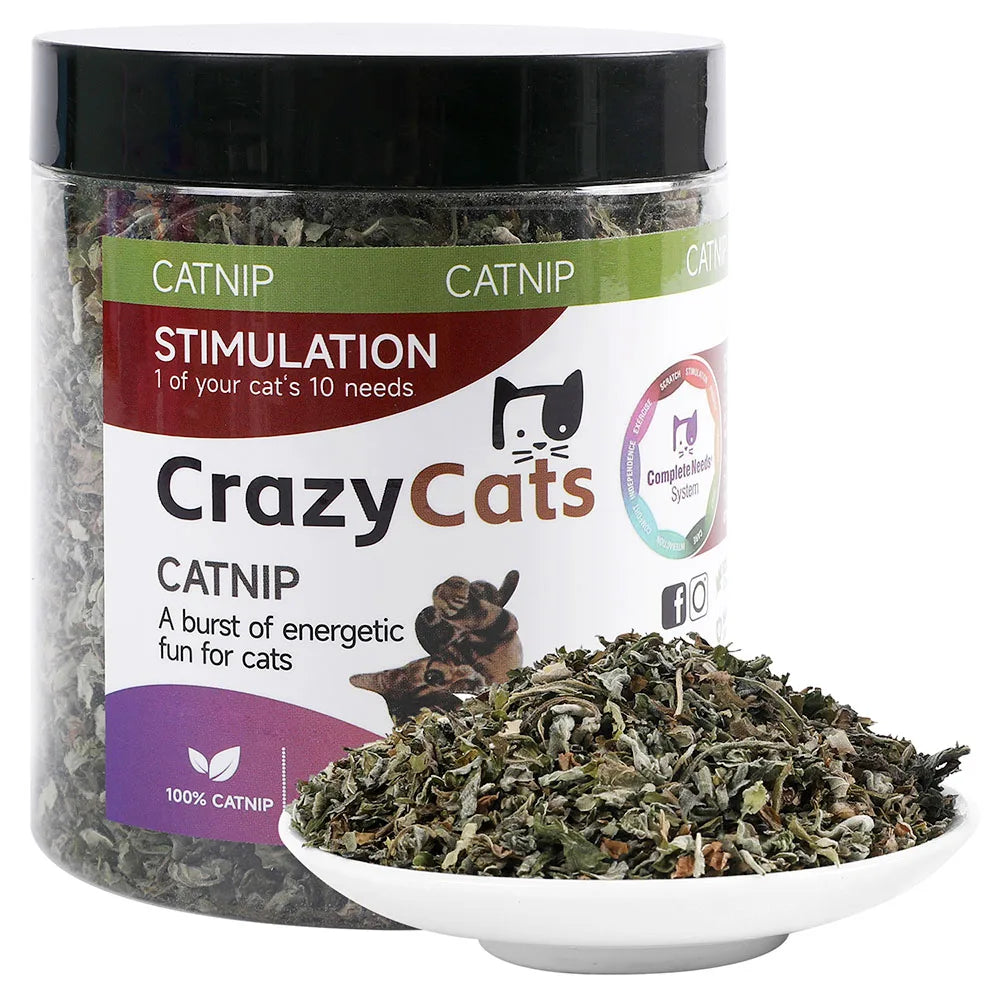 Jar of Crazy Cats catnip with a white bowl filled with catnip in front