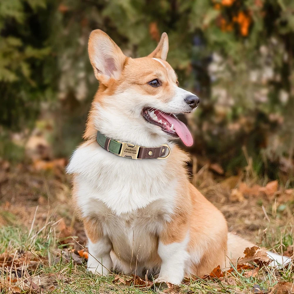 Personalized PU Leather Dog Collar - Engraved ID & Adjustable Buckle
