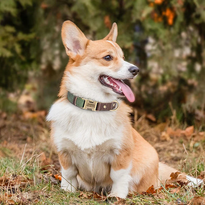 Personalized PU Leather Dog Collar - Engraved ID & Adjustable Buckle