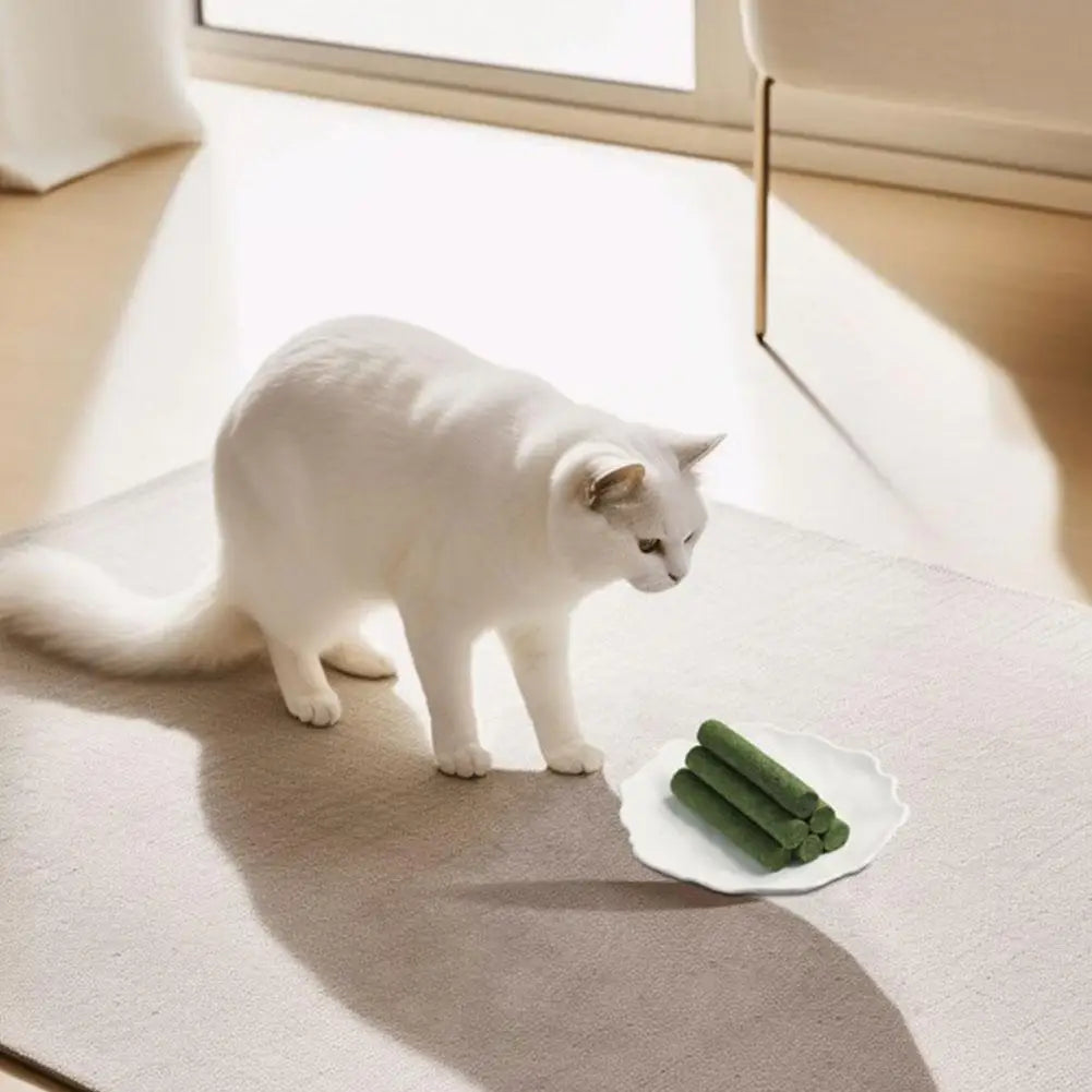 White cat interacting with green catnip rolls on a white plate.