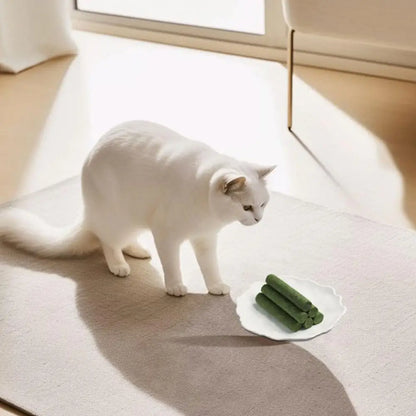White cat interacting with green catnip rolls on a white plate.