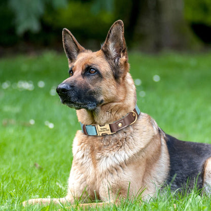 Personalized PU Leather Dog Collar - Engraved ID & Adjustable Buckle