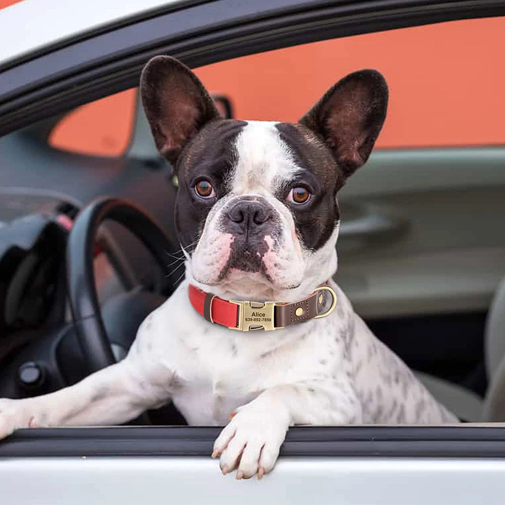 Personalized PU Leather Dog Collar - Engraved ID & Adjustable Buckle