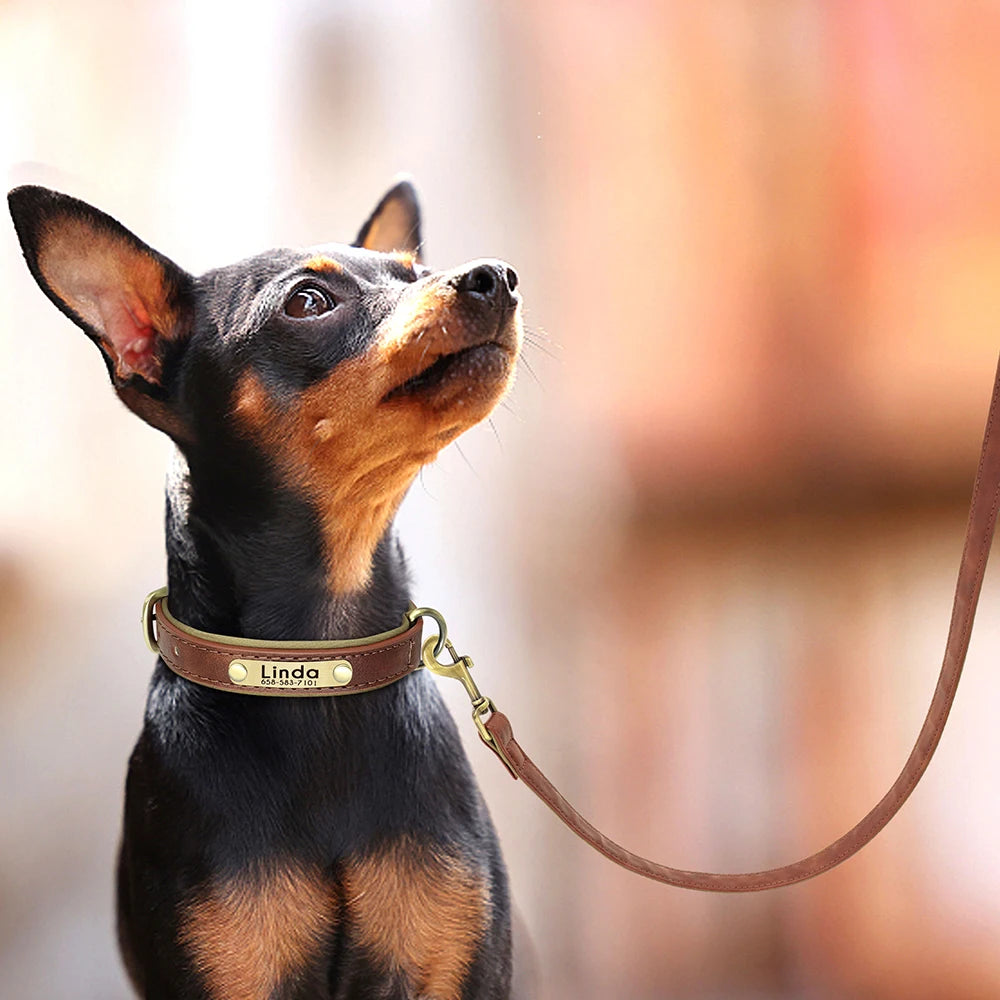 Personalized Engraved Pu Leather Dog Collar Leash Set With Id Tag & Quick Release Buckle