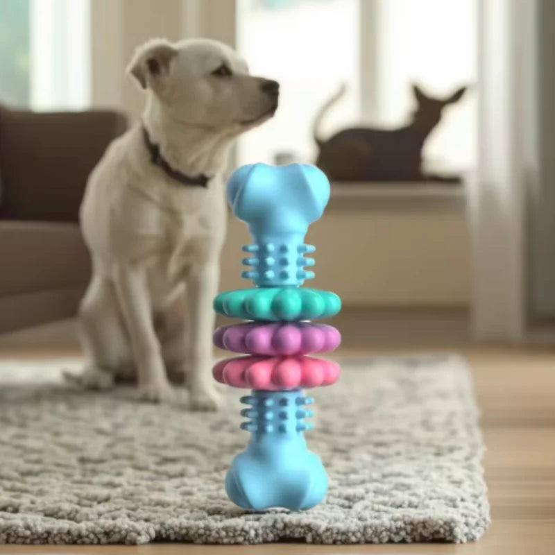 Colorful dog toy with a dog in the background