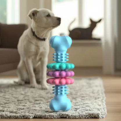 Colorful dog toy with a dog in the background