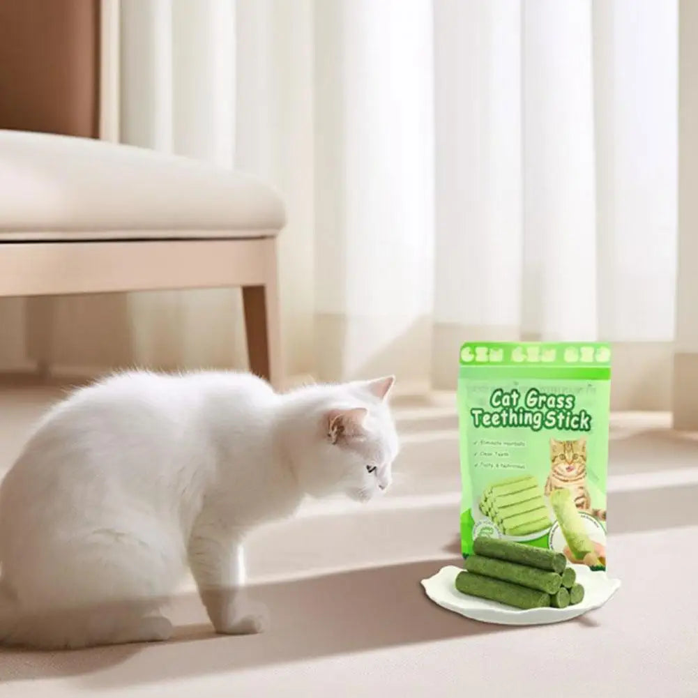 White cat looking at a package of Cat Grass Teething Stick on a table.