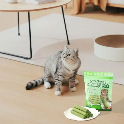 Cat sitting on a wooden floor next to a package of Cat Grass Teething Sticks