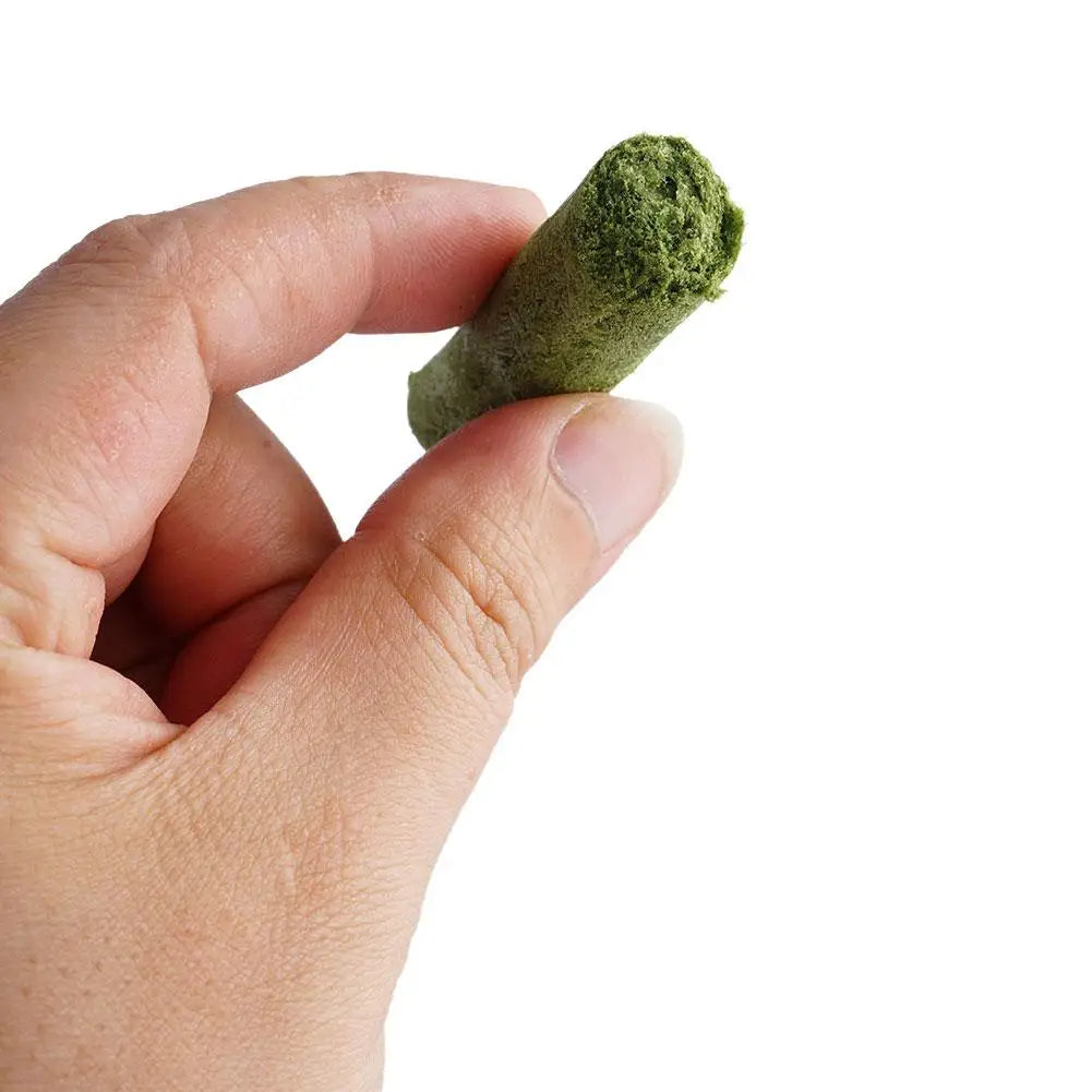 Hand holding a small green rolled leaf against a white background