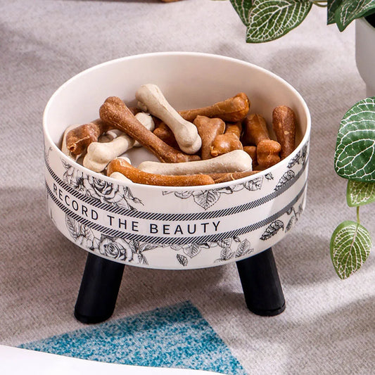 Stainless Steel Elevated Raised Feeding Cat Water & Food Bowls